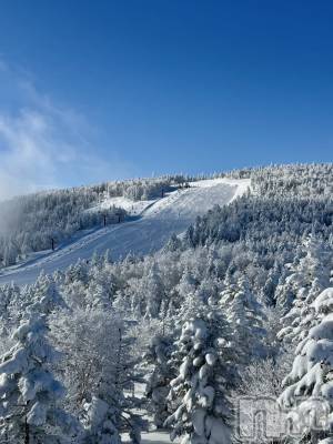 ��ˬ����Х��顦����֥���� �ץ���� ��ˬ(����� �ץ���� ����) �� ��礦��11��12���̥�֥����ִ���🥶��