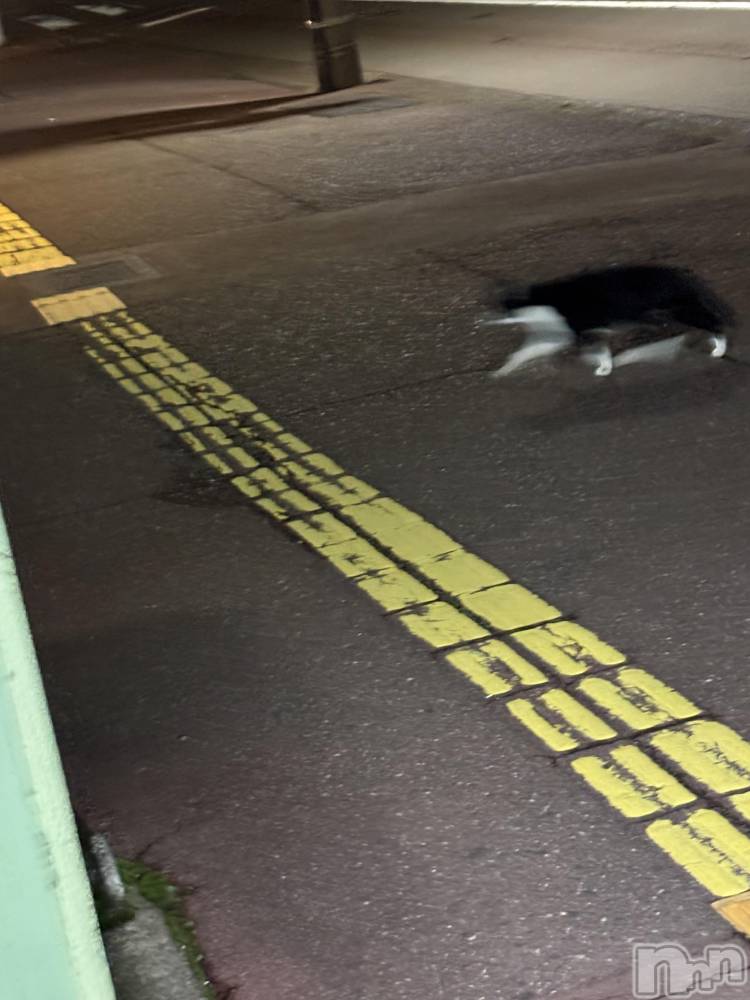 Įʥå륺Сconcept bar Citron(󥻥ץȥСȥ) ߤ䤳111ֹ̥֥®˥󥳡