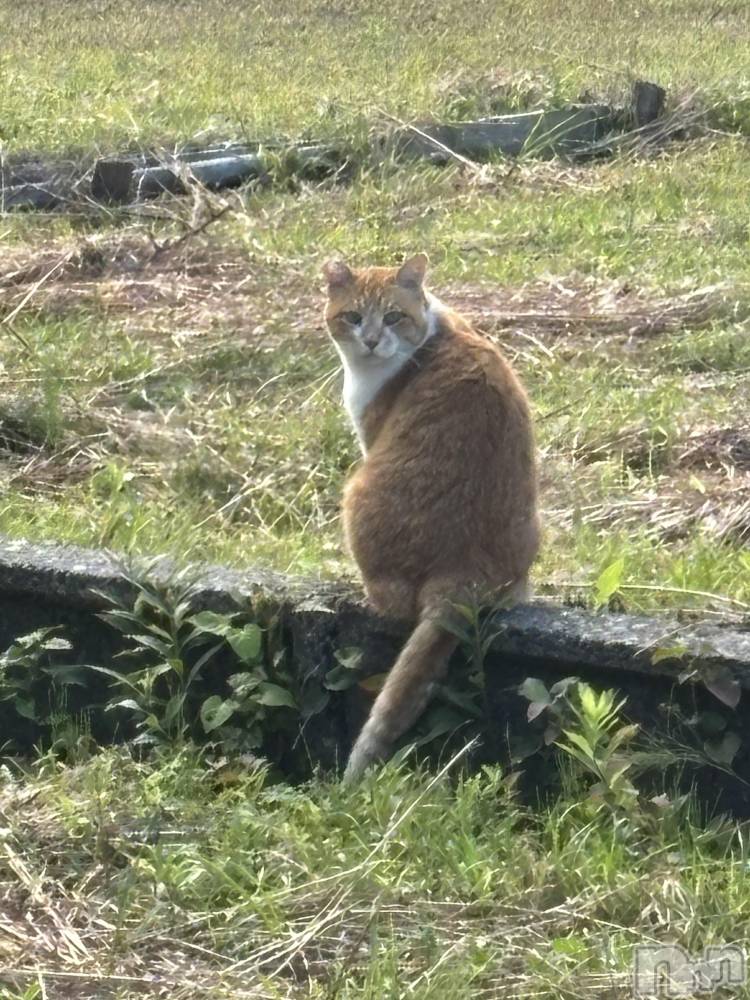 Įʥå륺Сconcept bar Citron(󥻥ץȥСȥ) ߤ䤳114̥֥ڤ