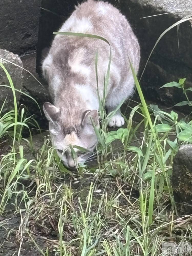 Įʥå륺Сconcept bar Citron(󥻥ץȥСȥ) ߤ䤳117ַ̥֥̤Ϣ