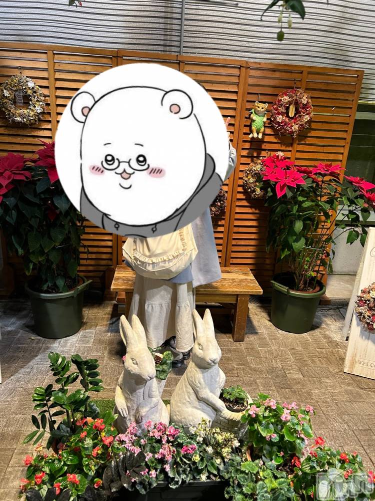 Įʥå륺Сconcept bar Citron(󥻥ץȥСȥ) ߤ䤳1112ֿ̥֥͡