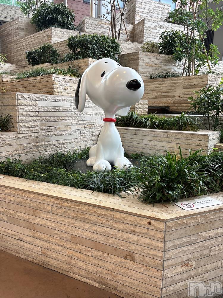 Įʥå륺Сconcept bar Citron(󥻥ץȥСȥ) ߤ䤳1116̥֥ǥ