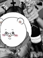 Įʥå륺С concept bar Citron(󥻥ץȥСȥ) ߤ䤳μ̥֥֤ä͡