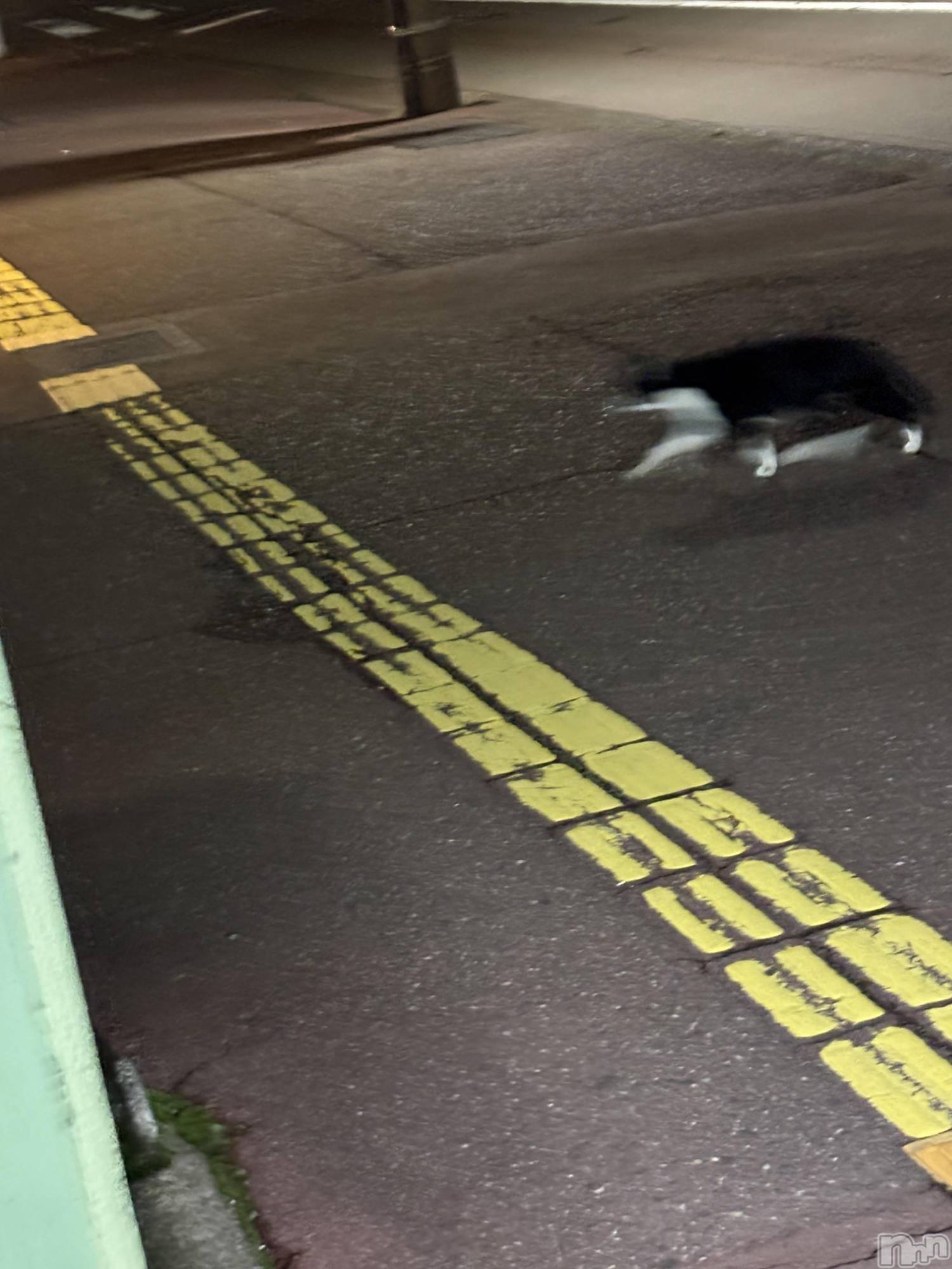 Įʥå륺Сconcept bar Citron(󥻥ץȥСȥ) 2025ǯ111ֹ̥֥®˥󥳡