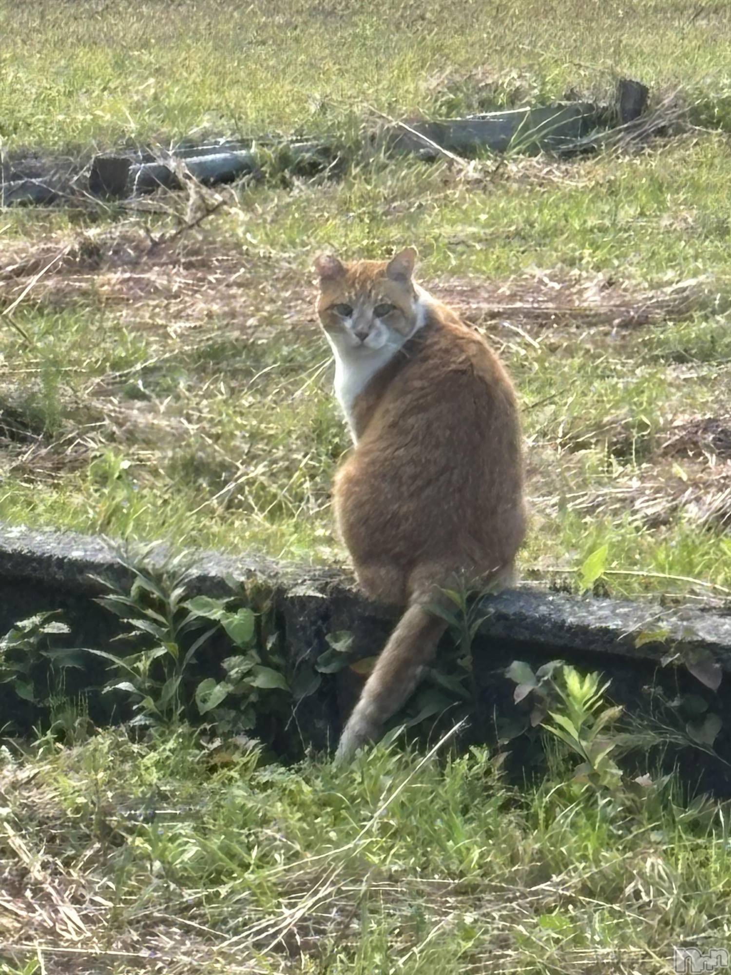 Įʥå륺Сconcept bar Citron(󥻥ץȥСȥ) 2025ǯ114̥֥ڤ