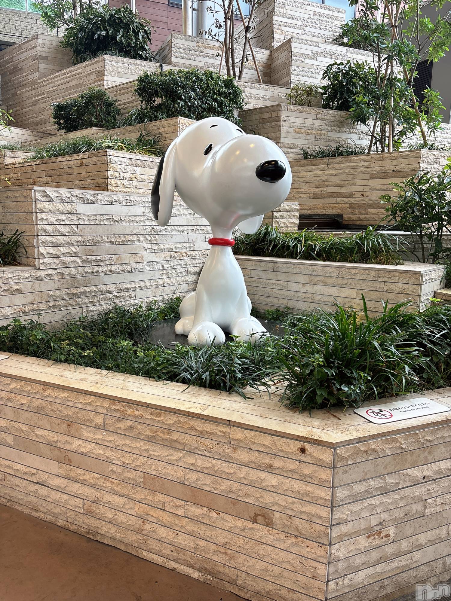 Įʥå륺Сconcept bar Citron(󥻥ץȥСȥ) 2025ǯ1116̥֥ǥ