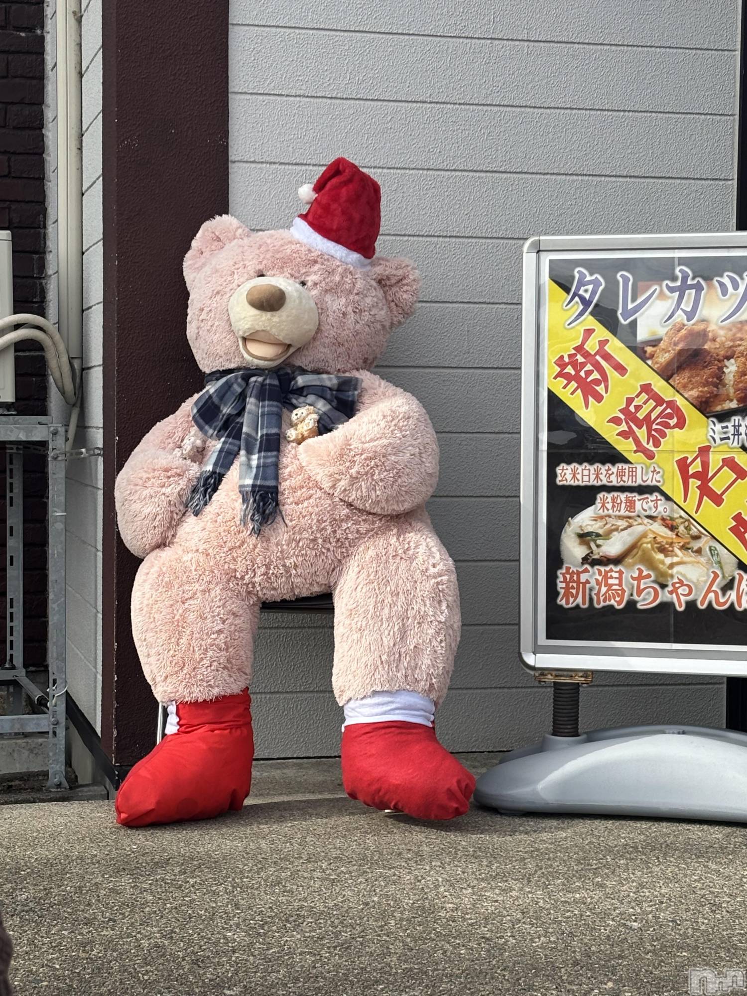 ��Į���ʥå��������륺�С�concept bar Citron(���󥻥ץȥС����ȥ���) ��2025ǯ11��29���̥�֥����֥������������ա���