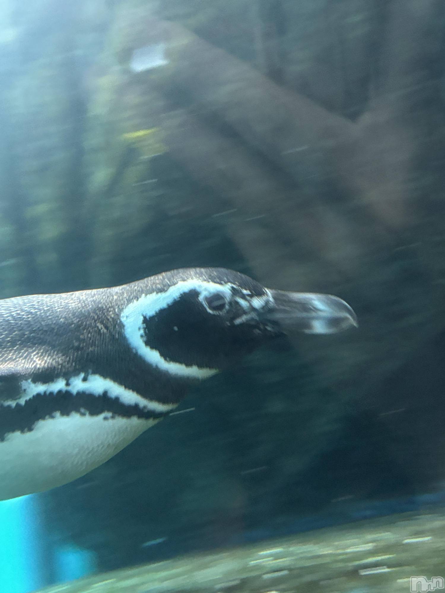 ��Į���ʥå��������륺�С�concept bar Citron(���󥻥ץȥС����ȥ���) ��2026ǯ1��5���̥�֥����ְ����̲�ڥ󥮥�(����)��