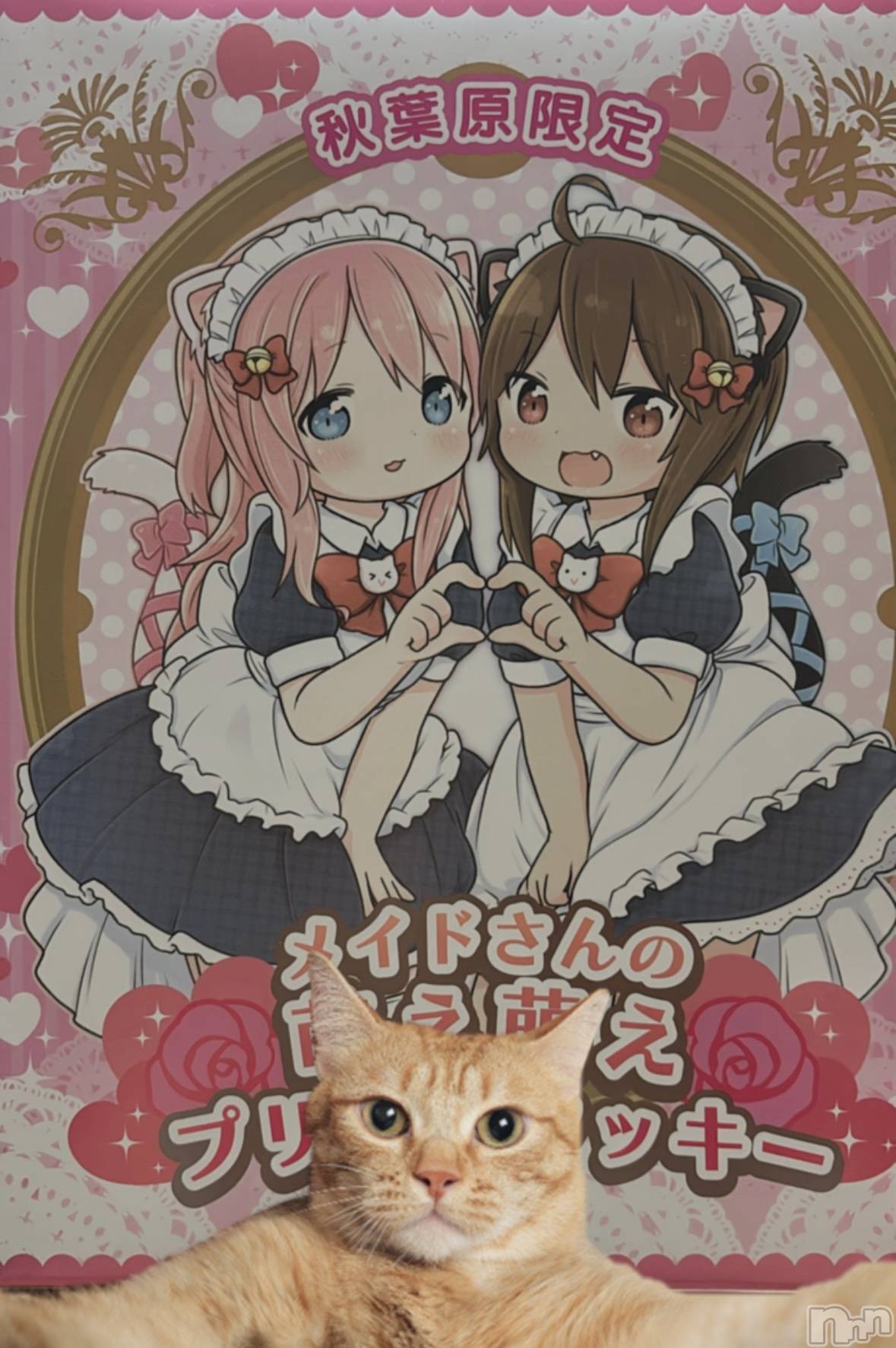 ��Į���ʥå��������륺�С�concept bar Citron(���󥻥ץȥС����ȥ���) ��2026ǯ1��8���̥�֥����ֻ���Ʋ�Υӥ塼�顼�ؤ�������;夲������ʤ���