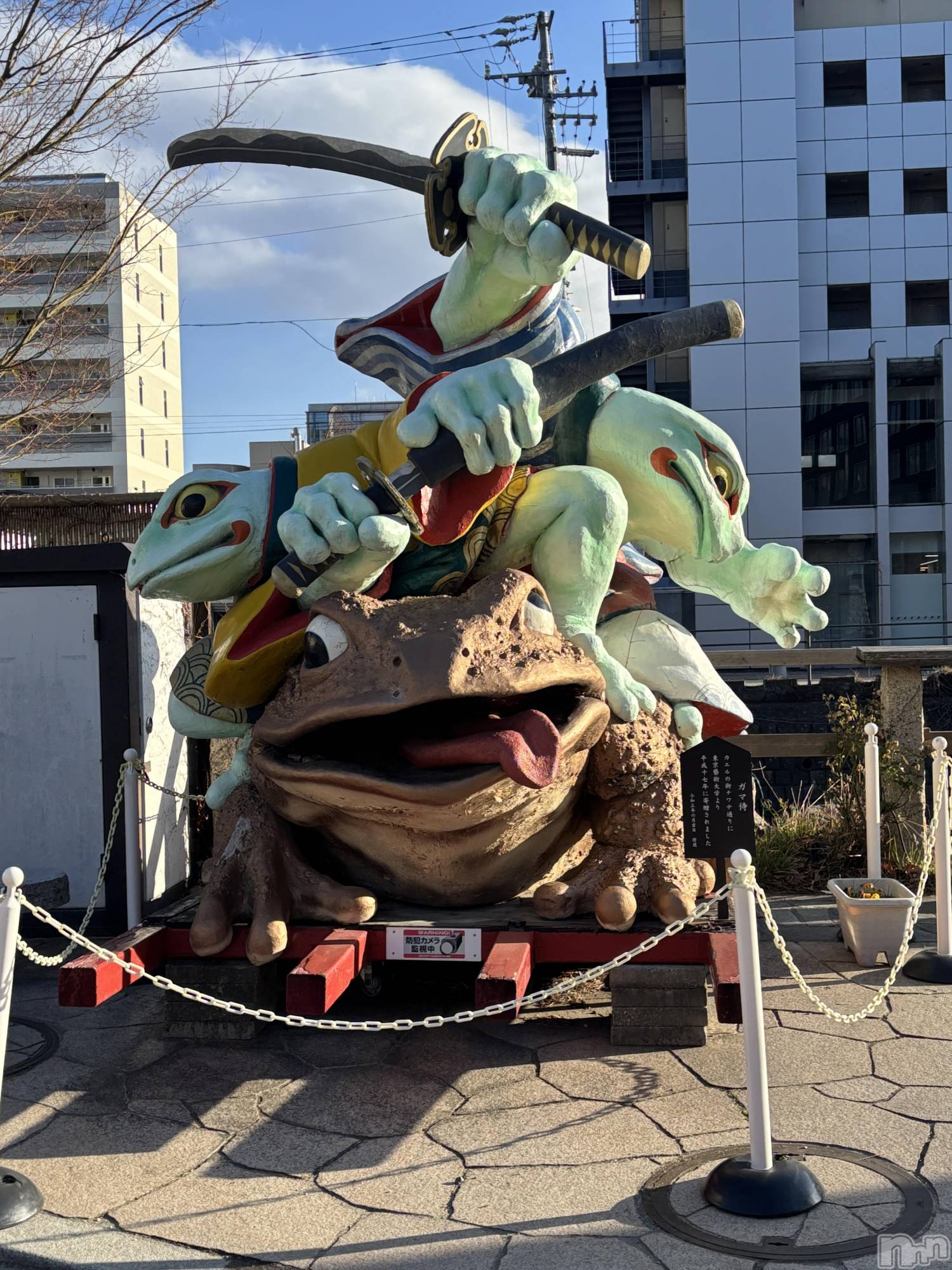 ��Į���ʥå��������륺�С�concept bar Citron(���󥻥ץȥС����ȥ���) ��2026ǯ3��11���̥�֥����־��ܡ�