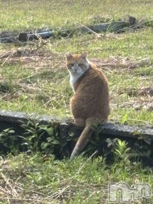 Įʥå륺Сconcept bar Citron(󥻥ץȥСȥ) ߤ䤳114̥֥ڤ