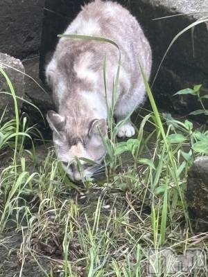 Įʥå륺Сconcept bar Citron(󥻥ץȥСȥ) ߤ䤳117ַ̥֥̤Ϣ