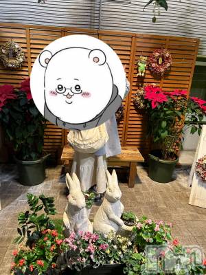 Įʥå륺Сconcept bar Citron(󥻥ץȥСȥ) ߤ䤳1112ֿ̥֥͡