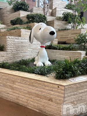 Įʥå륺Сconcept bar Citron(󥻥ץȥСȥ) ߤ䤳1116̥֥ǥ