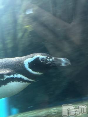 ��Į���ʥå��������륺�С�concept bar Citron(���󥻥ץȥС����ȥ���) �ߤ䤳��1��5���̥�֥����ְ����̲�ڥ󥮥�(����)��