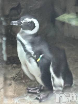 ��Į���ʥå��������륺�С�concept bar Citron(���󥻥ץȥС����ȥ���) �ߤ䤳��1��7���̥�֥����֥��������ڥ󥮥����