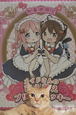 ��Į���ʥå��������륺�С�concept bar Citron(���󥻥ץȥС����ȥ���) �ߤ䤳��1��8���̥�֥����ֻ���Ʋ�Υӥ塼�顼�ؤ�������;夲������ʤ���