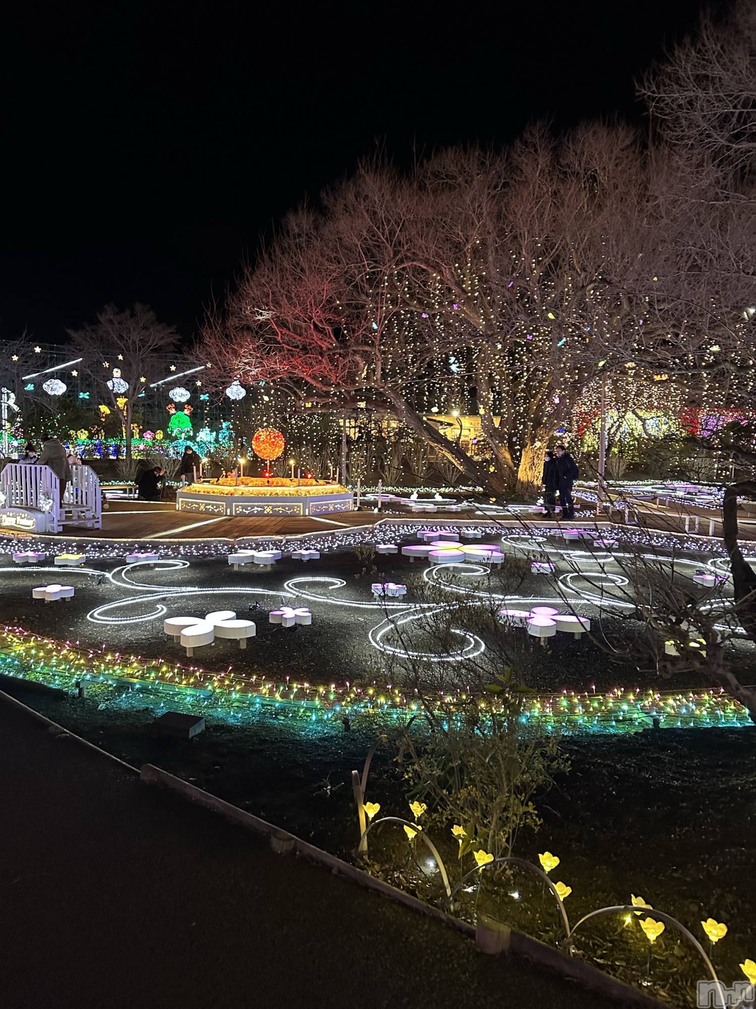 新潟メンズエステMen's Spa 神の手(メンズスパカミノテ)【新人】本条まい(23)の2025年12月24日写メブログ「クリスマスイブ🎅🏻🎀」