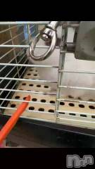 新潟メンズエステMen's Spa 神の手(メンズスパカミノテ) 【新人】朝宮しおん(21)の3月10日動画「嫌われてる❓」