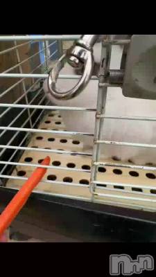 新潟メンズエステ Men's Spa 神の手(メンズスパカミノテ) 【新人】朝宮しおん(21)の3月10日動画「嫌われてる❓」