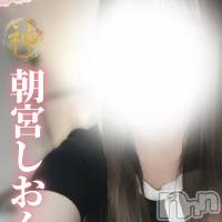 (new)朝宮しおん