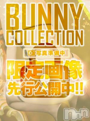 アイ(20) 身長152cm、スリーサイズB86(E).W56.H89。新潟ソープ 新潟バニーコレクション(ニイガタバニーコレクション)在籍。