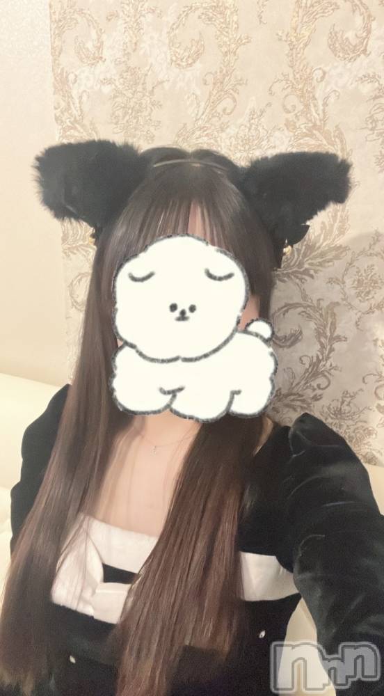 ����������ʥå��������륺�С����󥻥ץȥ��ե� ���ˤޤ����(���󥻥ץȥ��ե����˥ޥ륭�奦�ǥ�) ����4��7���̥�֥�����4��7�� 22��08ʬ�μ̥�֥�����