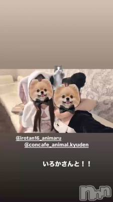 4��14�� 21��50ʬ�Υ֥���