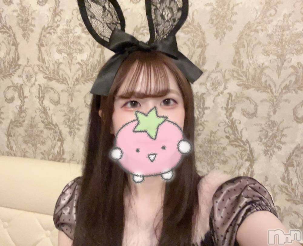 ����������ʥå��������륺�С����󥻥ץȥ��ե� ���ˤޤ����(���󥻥ץȥ��ե����˥ޥ륭�奦�ǥ�) ��ʤ�2��6���̥�֥�����2��6�� 21��09ʬ�Υ֥�����