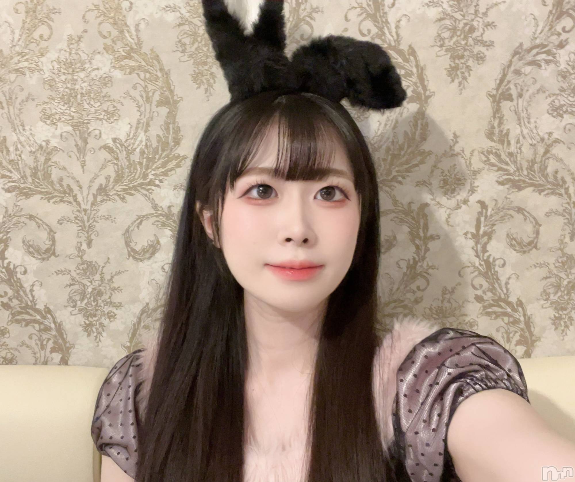 ʥå륺С󥻥ץȥե ˤޤ(󥻥ץȥե˥ޥ륭奦ǥ) 2025ǯ129̥֥129 2123ʬΥ֥