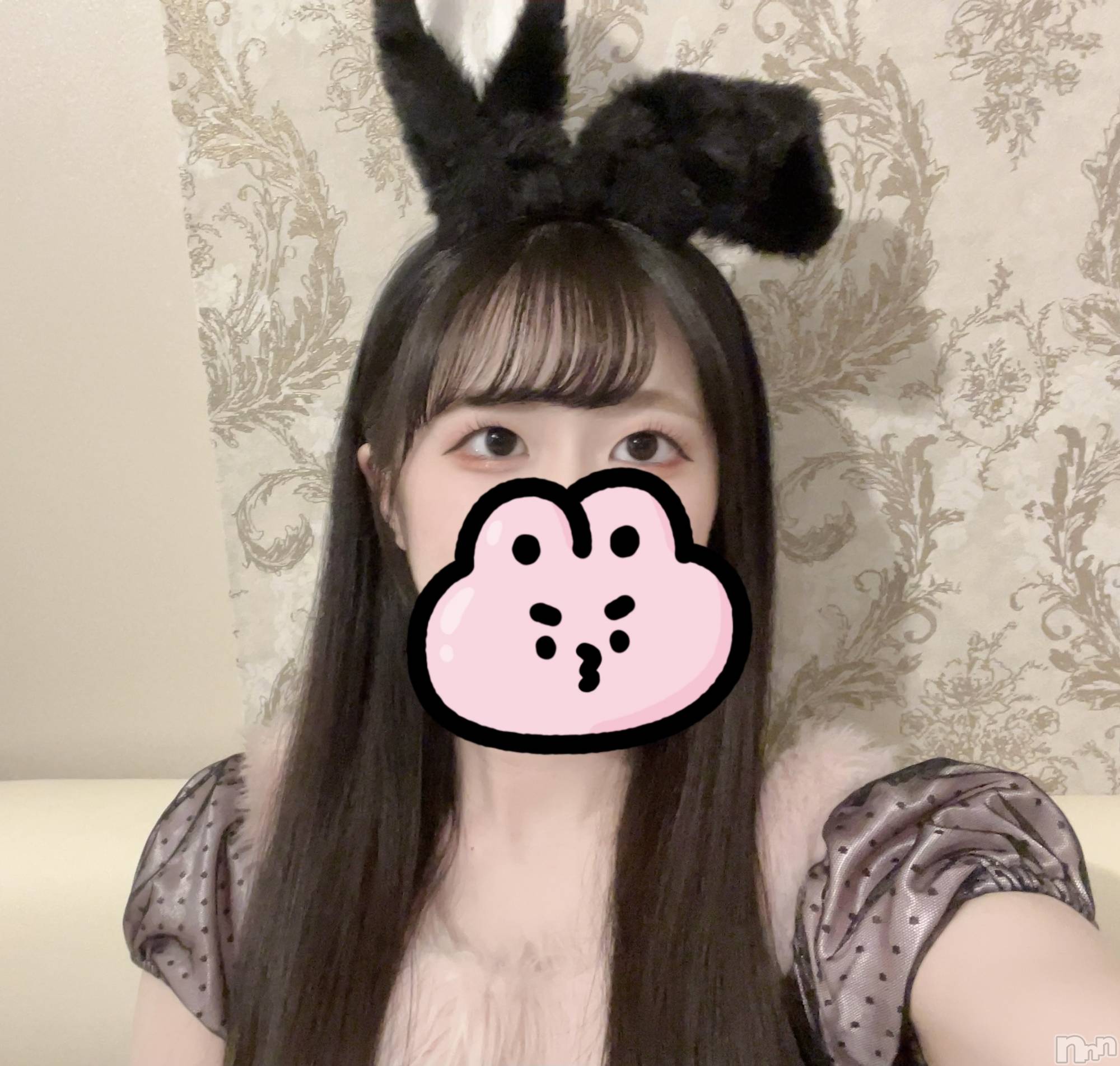 ����������ʥå��������륺�С����󥻥ץȥ��ե� ���ˤޤ����(���󥻥ץȥ��ե����˥ޥ륭�奦�ǥ�) ��2025ǯ12��14���̥�֥�����12��14�� 22��08ʬ�Υ֥�����