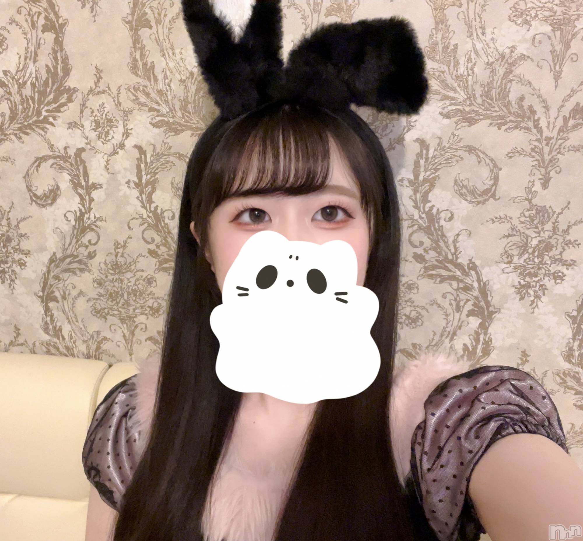 ����������ʥå��������륺�С����󥻥ץȥ��ե� ���ˤޤ����(���󥻥ץȥ��ե����˥ޥ륭�奦�ǥ�) ��2025ǯ12��17���̥�֥�����12��17�� 21��15ʬ�Υ֥�����