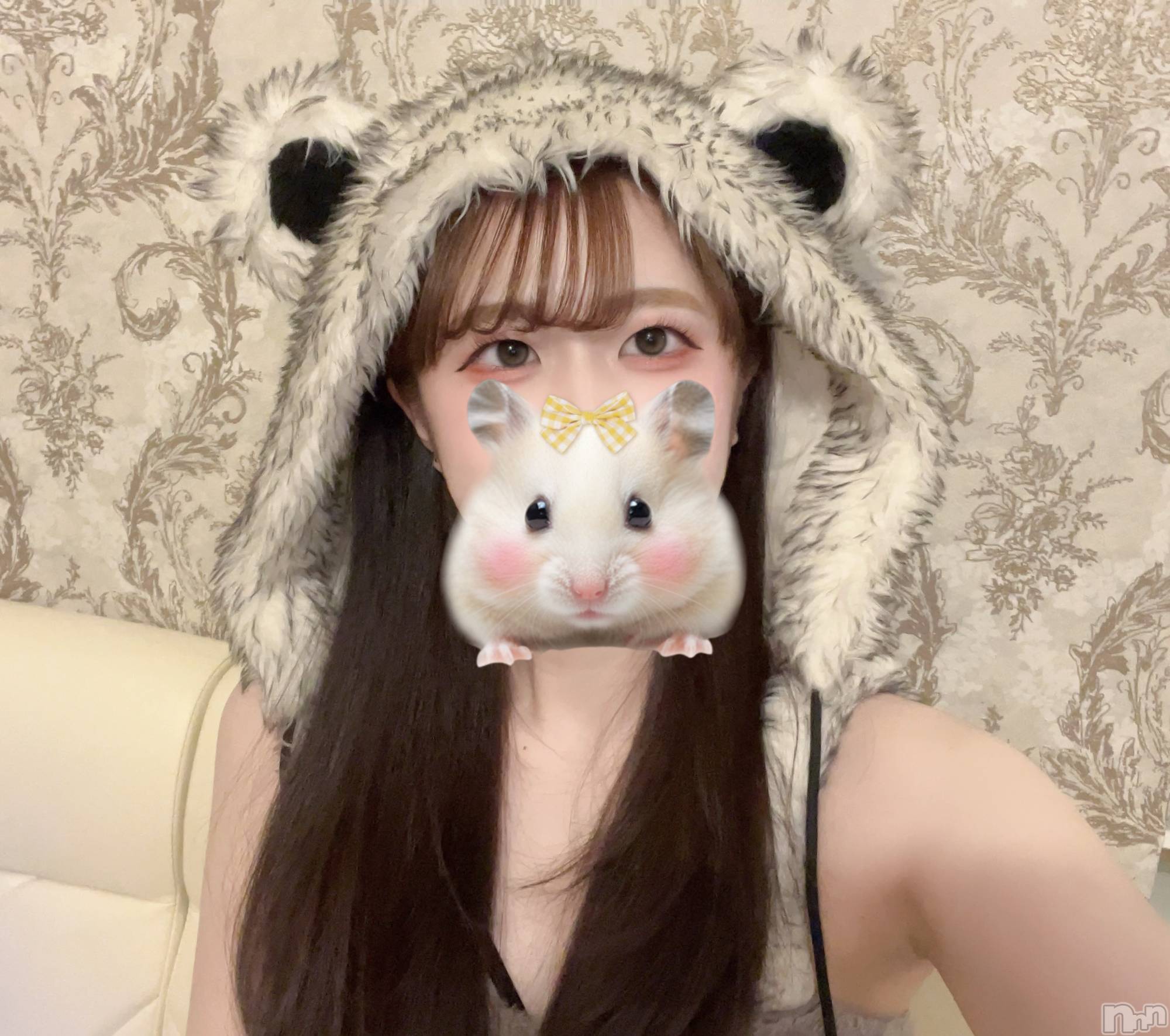 ����������ʥå��������륺�С����󥻥ץȥ��ե� ���ˤޤ����(���󥻥ץȥ��ե����˥ޥ륭�奦�ǥ�) ��2026ǯ1��22���̥�֥�����1��22�� 21��00ʬ�Υ֥�����