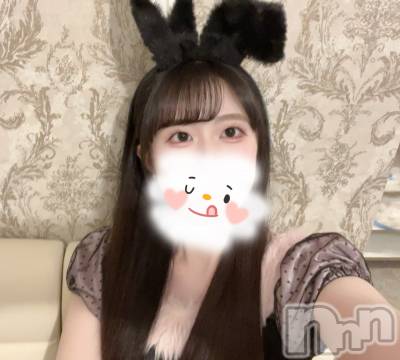 ����������ʥå��������륺�С����󥻥ץȥ��ե� ���ˤޤ����(���󥻥ץȥ��ե����˥ޥ륭�奦�ǥ�) ��ʤ�12��31���̥�֥����ֺ�ǯ�饹�ȡ���