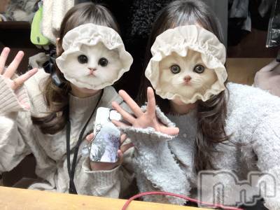 ����������ʥå��������륺�С������륺�С� �ӥ���٥˥塼(�����륺�С��ӥ���٥˥塼) �����(20)��1��16���̥�֥�����🩵🩵🩵��