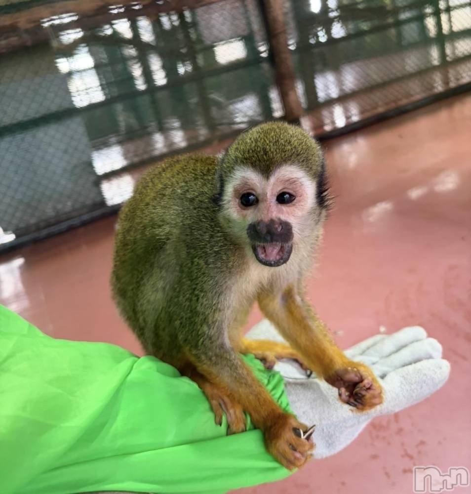 三条デリヘル新潟三条燕ちゃんこ(ニイガタサンジョウツバメチャンコ) まい(25)の8月19日写メブログ「大変ご無沙汰しております？？？♀？」