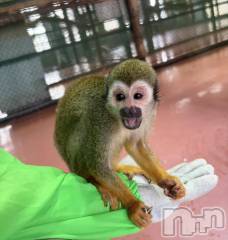 三条デリヘル新潟三条燕ちゃんこ(ニイガタサンジョウツバメチャンコ) まい(25)の8月19日写メブログ「大変ご無沙汰しております？？？♀？」