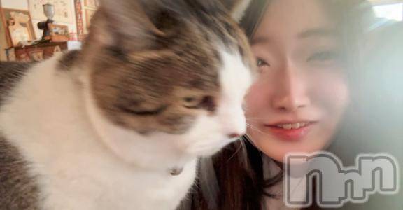 新潟デリヘル奥様特急 新潟店(オクサマトッキュウニイガタテン) るるな(23)の1月9日写メブログ「にゃんこにゃんこ」