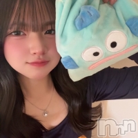 ������&���饪��BAR  L  STYLE