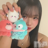 ������&���饪��BAR  L  STYLE