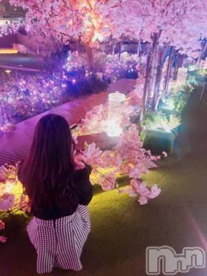 上越デリヘル BLUE BIRD上越店(ブルーバード上越店) めいさ(24)の12月8日写メブログ「ごめんなさい😿」