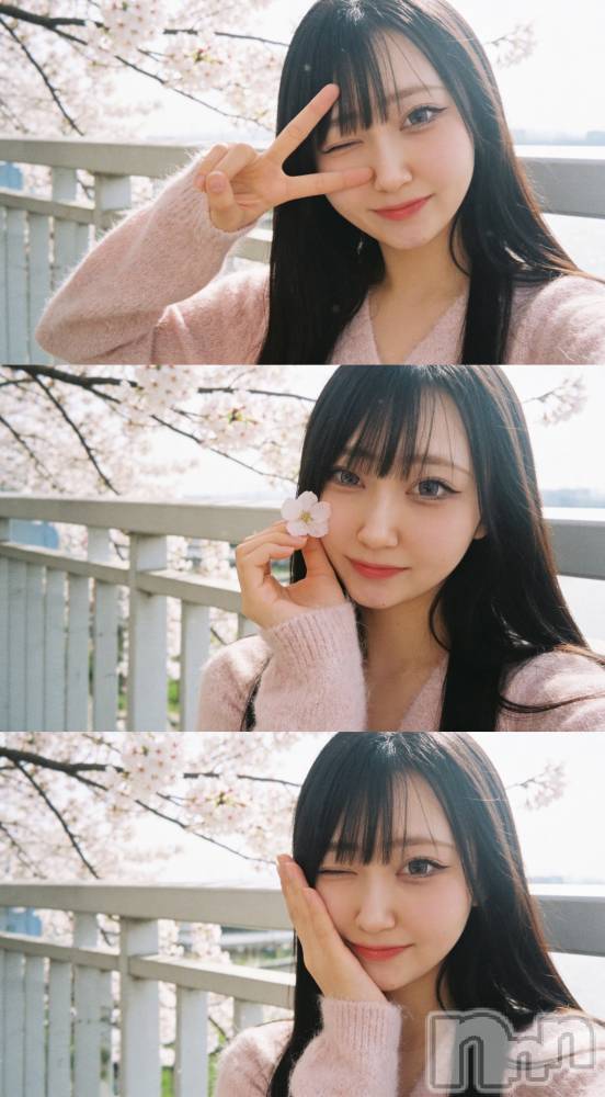 �����������Х��顦�����Armada(����ޡ���) �����4��1���̥�֥�����April🌸��