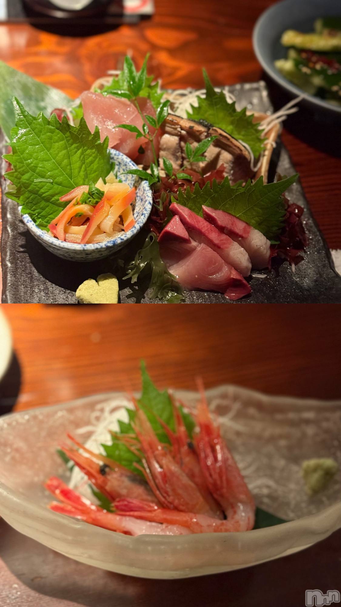 Х顦Armada(ޡ) 2025ǯ1129̥֥🦐