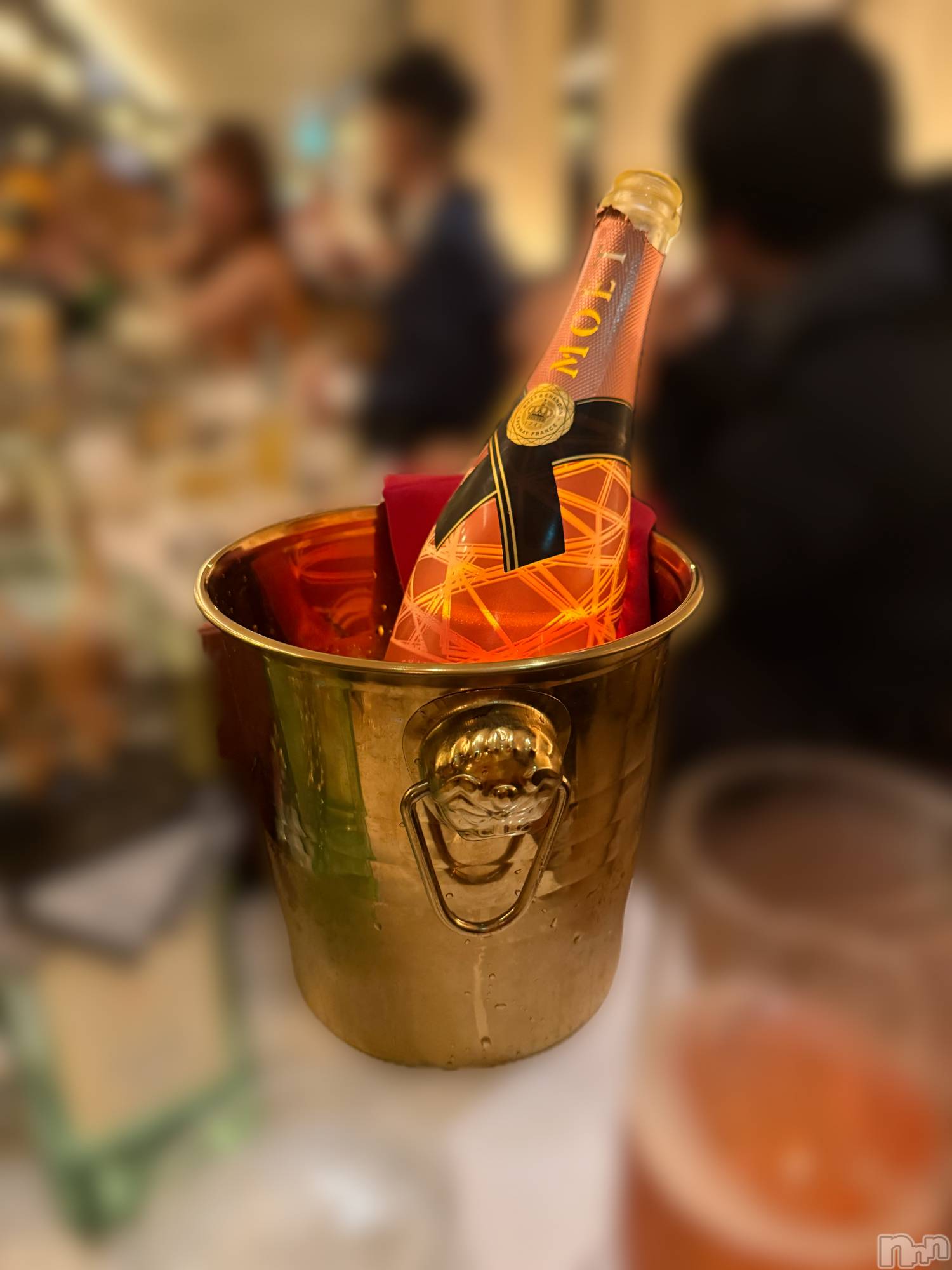 �����������Х��顦�����Armada(����ޡ���) ��2026ǯ1��9���̥�֥�����ǯ���ϡ�