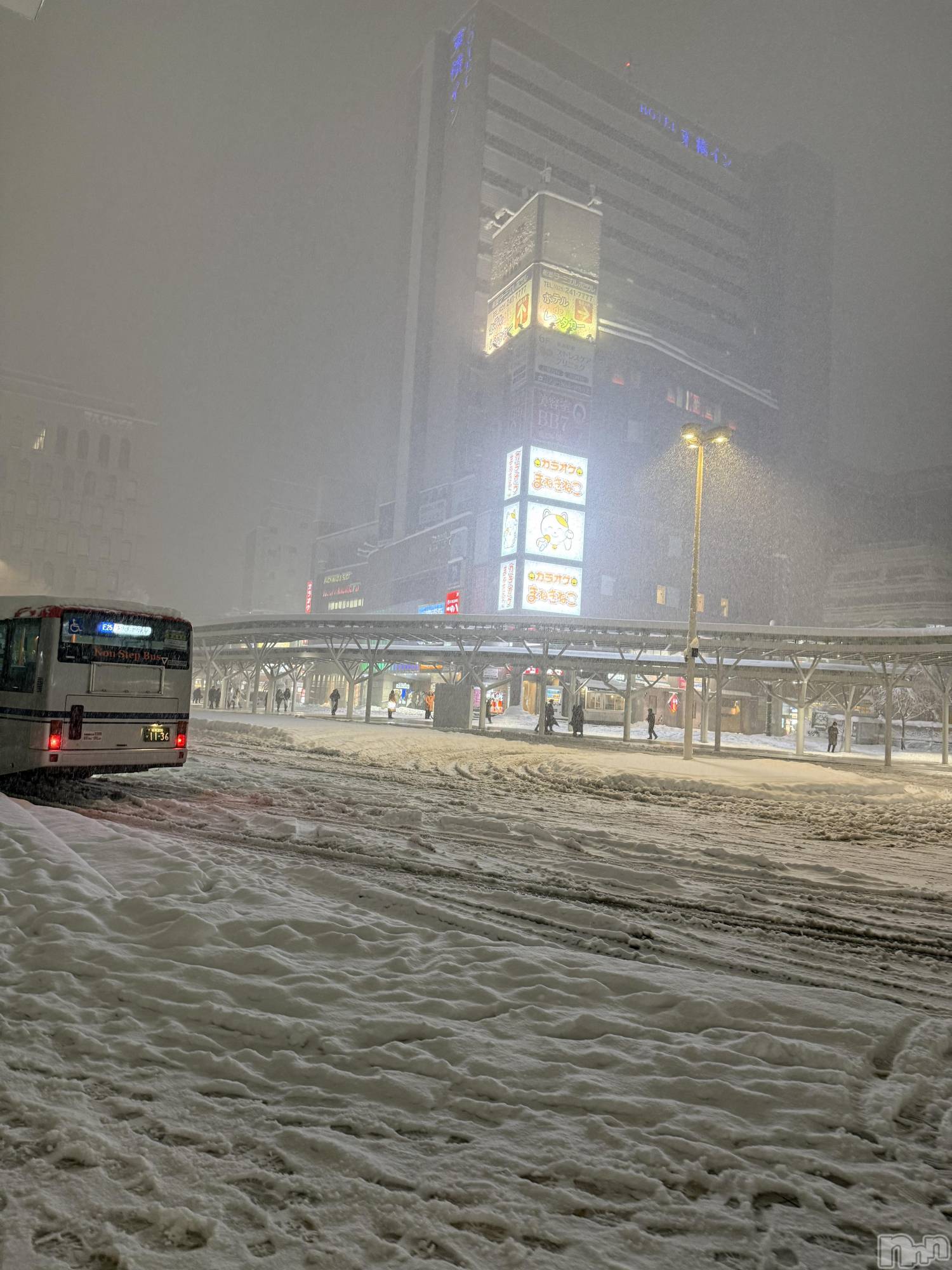 �����������Х��顦�����Armada(����ޡ���) ��2026ǯ1��25���̥�֥�����☃️��