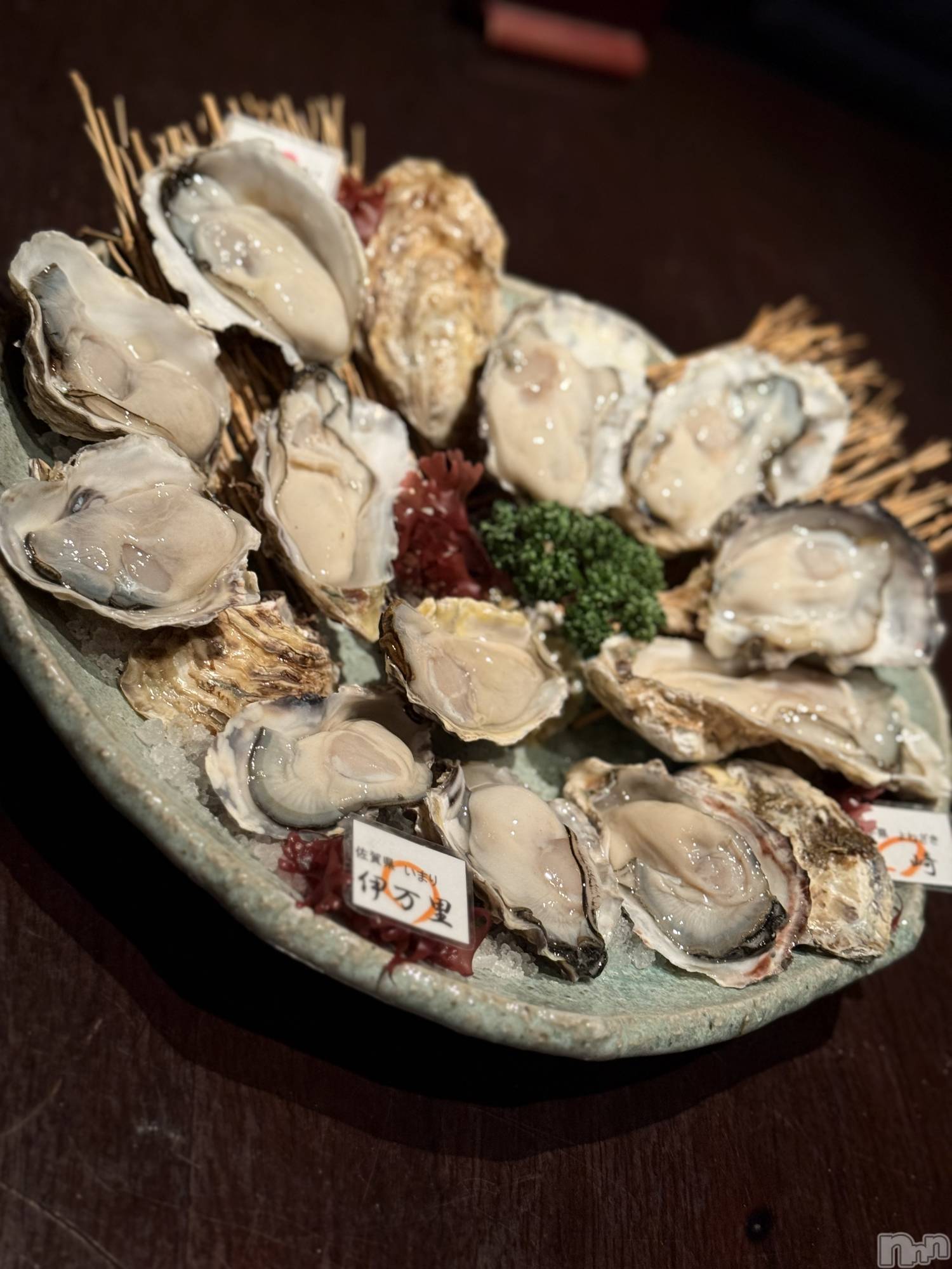 �����������Х��顦�����Armada(����ޡ���) ��2026ǯ2��21���̥�֥����ֹ�����������🌟��