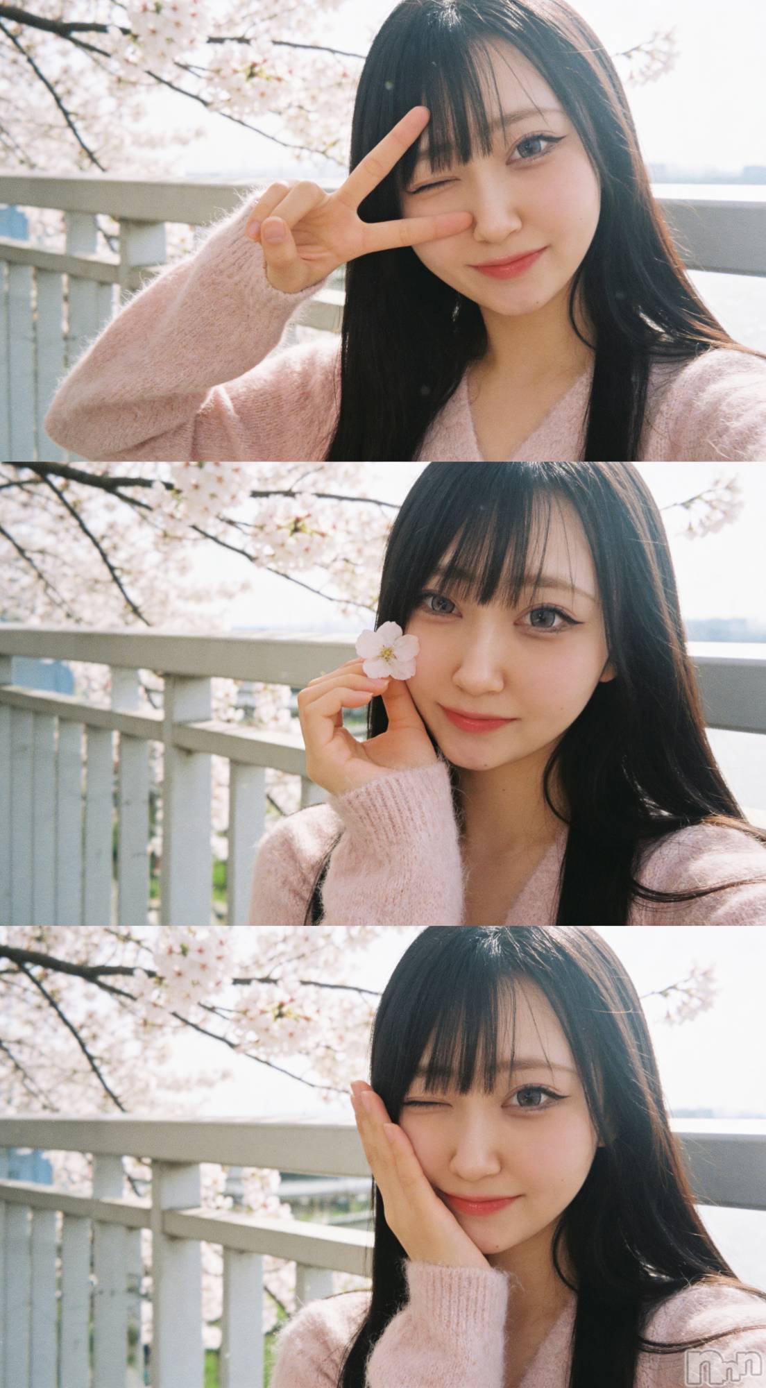 �����������Х��顦�����Armada(����ޡ���) ��2026ǯ4��1���̥�֥�����April🌸��