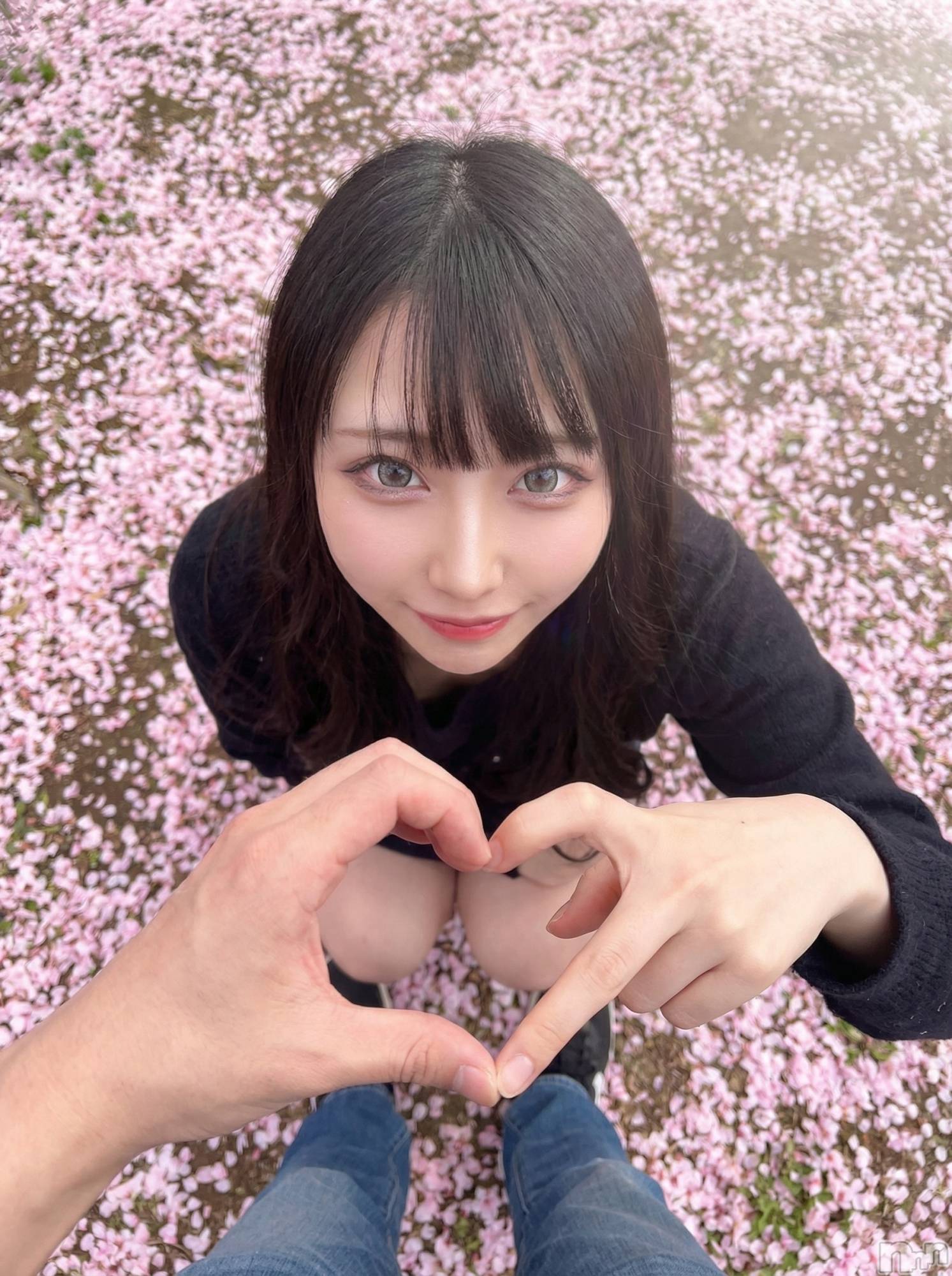 �����������Х��顦�����Armada(����ޡ���) ��2026ǯ4��2���̥�֥�����😸🌸��