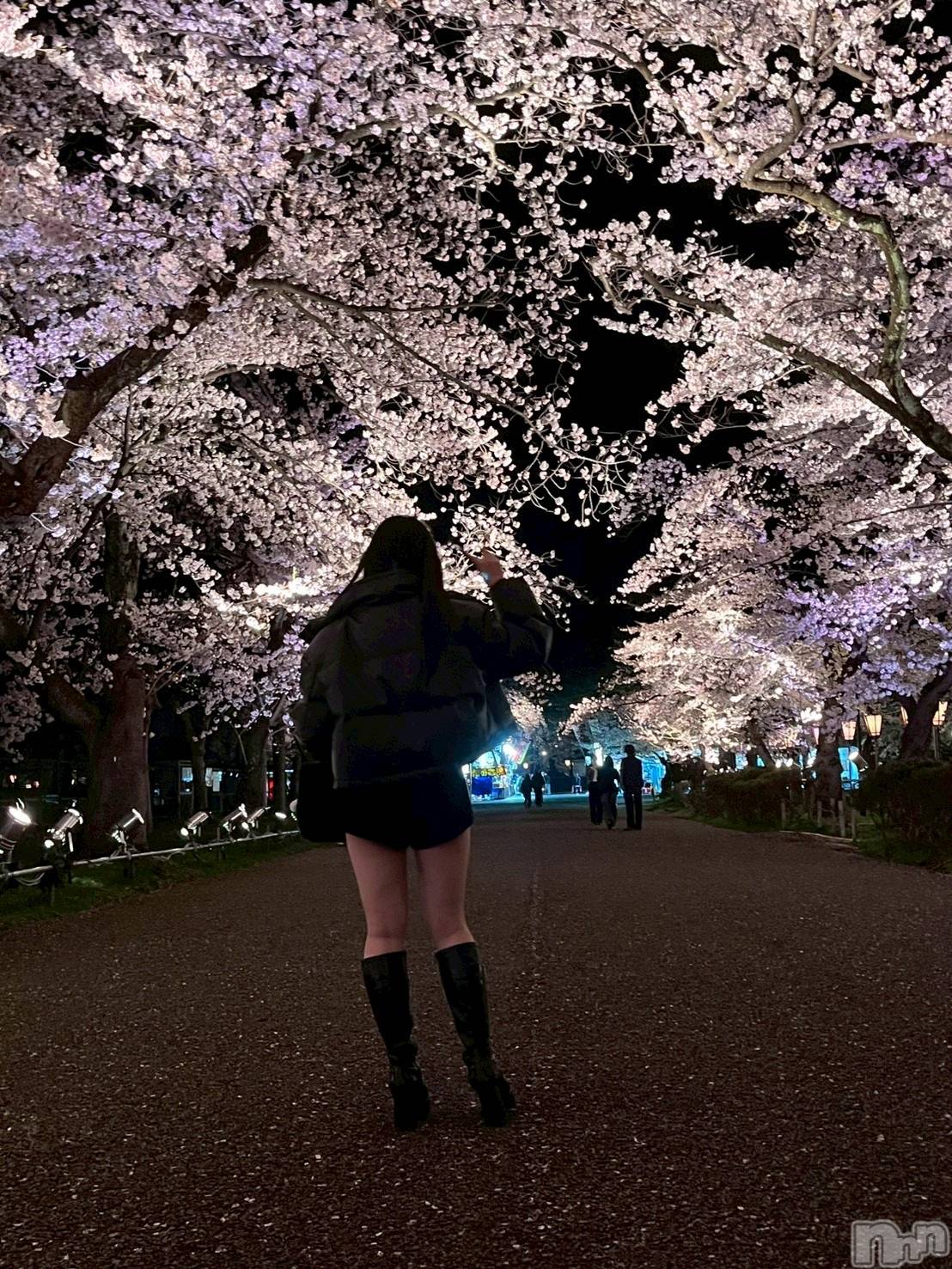 �����������Х��顦�����Armada(����ޡ���) ��2026ǯ4��17���̥�֥�����🌸��