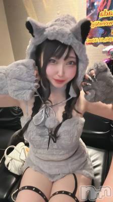 Х顦Armada(ޡ) 1115̥֥🐺🩶